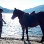 Gerês Braga: Horseback Ride in Peneda Gerês National Park - The Highlights of the Tour