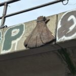 German guided insider tour of Hamburg's Schanzenviertel - Why This Tour Offers Good Value