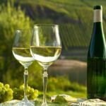 German Wine Self-Guided Tour in Munich's Old Town Wine Bars - Breakdown of the Itinerary and Venues