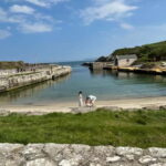 GIANTS CAUSEWAY & BLACK TAXI TOUR - The Sum Up