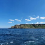 Giant's Causeway Private Tour by Five Star Luxury Transfers - Who Is This Tour Best For?