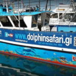 Gibraltar: Dolphin Watching Boat Tour V.I.P - A Full Breakdown of the Experience