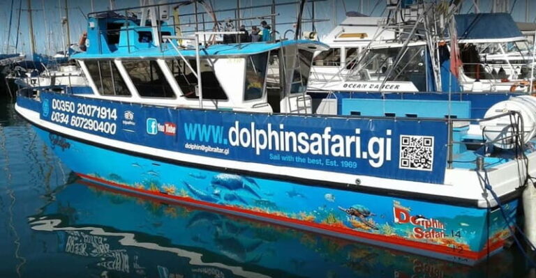 Gibraltar: Dolphin Watching Boat Tour V.I.P - A Full Breakdown of the Experience