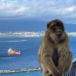 Gibraltar Private Daytrip From Malaga - What’s Included and What to Consider