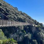 Gibraltar Private Daytrip From Sevilla - What Makes This Tour Stand Out?