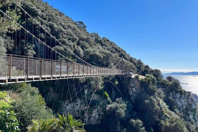 Gibraltar Private Daytrip From Sevilla - What Makes This Tour Stand Out?