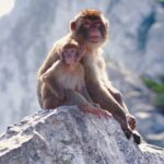 Gibraltar Rock Tour with WWII Tunnels - Final Thoughts