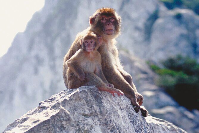 Gibraltar Rock Tour with WWII Tunnels - Final Thoughts