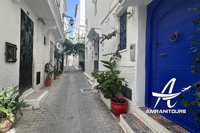 Gibraltar to Tangier All Inclusive Day Trip - What the Reviews Say