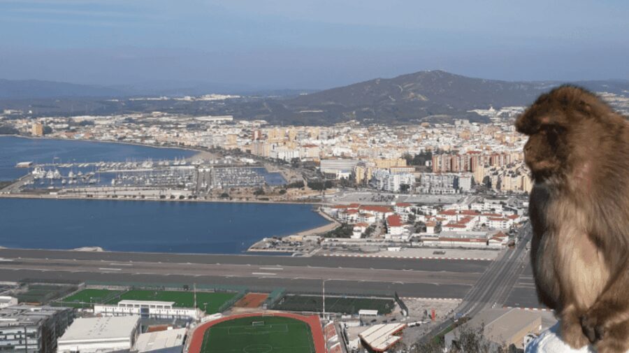 Gibraltar: Tour guiado desde la Costa Del Sol - Detailed Breakdown of the Tour