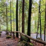 Giessbach Waterfall + CLOY Pier Iseltwald Sightseeing Tour Privat - The Grand Hotel Giessbach and CLOY Stairs