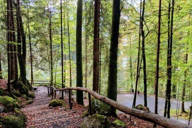 Giessbach Waterfall + CLOY Pier Iseltwald Sightseeing Tour Privat - The Grand Hotel Giessbach and CLOY Stairs