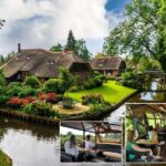 Giethoorn: Sightseeing Boat Tour - Authentic Experiences and Real Traveler Insights
