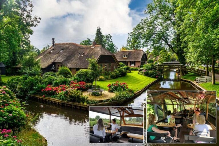 Giethoorn: Sightseeing Boat Tour - Authentic Experiences and Real Traveler Insights