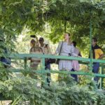 Giverny Monet's Gardens Entrance Ticket with Transport from Paris - A Closer Look at the Tour Itinerary