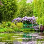 Giverny: Monet's House & Gardens Private Guided Tour +Ticket - First Impressions & Booking