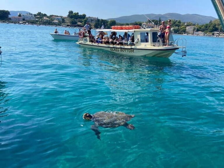 Glass boat cruises to spot turtles - What Guests Say: Authentic Insights