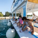 Glass boat tour Faana with swimming stop - Final Verdict: Is This Tour Worth It?