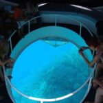 Glass Bottom Boat Tour & Snorkeling in São Miguel, Azores - Who Will Love This Experience?