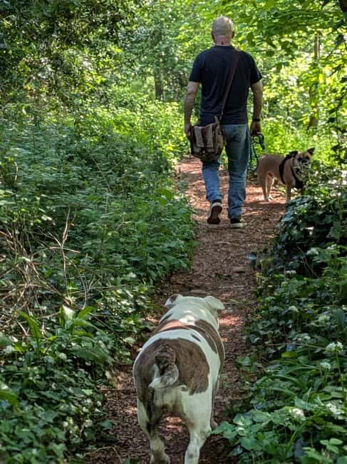 Glastonbury: Guided Tour of Avalon with Celtic Shaman - What’s Included and What to Consider