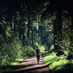 Glen Affric & Culloden Tour from Inverness Including Admissions - The Comfort and Value of the Tour