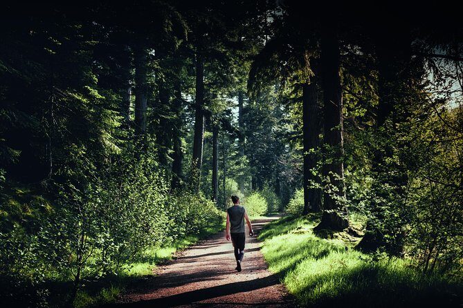 Glen Affric & Culloden Tour from Inverness Including Admissions - The Comfort and Value of the Tour