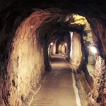 Go Tours 360° Experience in Gibraltar with Professional Guide - Why This Tour Offers Great Value