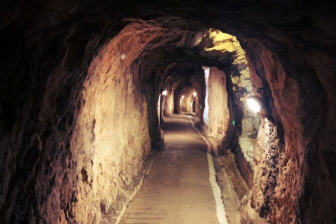 Go Tours 360° Experience in Gibraltar with Professional Guide - Why This Tour Offers Great Value