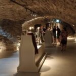 Go West  Private 1 Day Trip to West Coast - The Practicalities: What to Expect