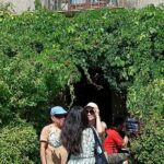 Godfather Tour Cinematic Journey through Al Pacino's sets - What We Loved and What to Consider