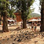 Going North and visit Sarajevo in a Day Tour from Mostar - The Guides and Transportation