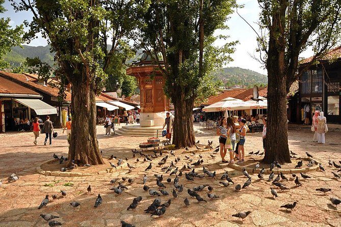 Going North and visit Sarajevo in a Day Tour from Mostar - The Guides and Transportation