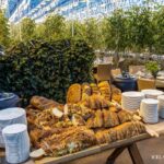 Golden Circle and Blue Lagoon Transfer in Small Group by Van - Who is this tour best suited for?