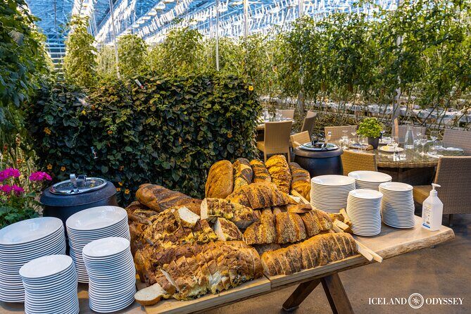 Golden Circle and Blue Lagoon Transfer in Small Group by Van - Who is this tour best suited for?