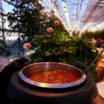 Golden Circle & Lunch at Fridheimar Tomato Farm- with photos - Authentic Experiences and Practical Value