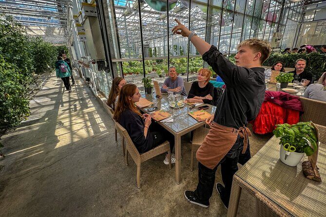 Golden Circle, Silfra Snorkeling & Fridheimar Tomato Farm Lunch - What’s the Value?