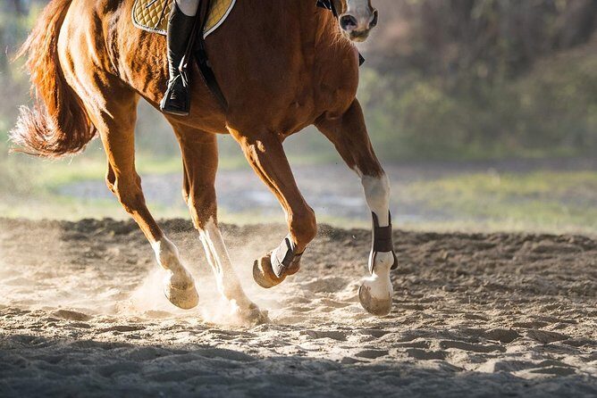 Golden Hour Gallop: Evening Ride in Paros - Practical Considerations and Tips
