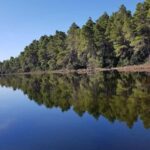 Golem/Durrës: Karavasta Lagoon Tour - Practicalities and Value