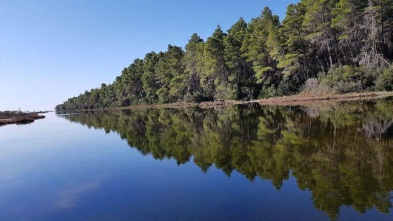 Golem/Durrës: Karavasta Lagoon Tour - Practicalities and Value