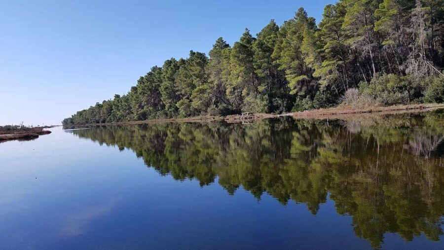 Golem/Durrës: Karavasta Lagoon Tour - Practicalities and Value