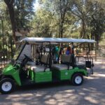 Golf Cart Mystery and Culture Private Tour in the Borghese Garden - Who Should Consider This Tour?