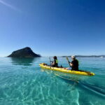 Golfo Aranci:Small group, german guided Kayak tour&Dolphins - What Makes This Tour Stand Out?