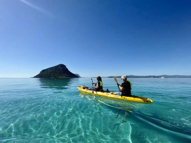 Golfo Aranci:Small group, german guided Kayak tour&Dolphins - What Makes This Tour Stand Out?