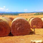 "Good Morning Chianti Classico" - Tour in 2 wineries with lunch - The Value of the Experience