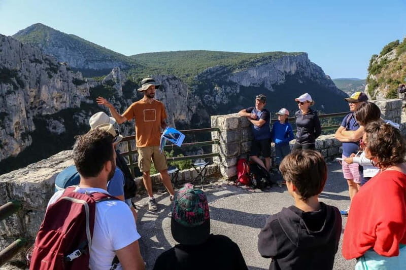 Gorges du Verdon: Watching vultures - Who Will Appreciate This Experience?
