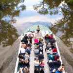 Gothenburg: Paddan Sightseeing Cruise on the River Säveån - Authentic Experiences from Past Travelers