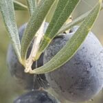 Gourmet Journey: 12-Course Lunch, Wine Tasting & Culinary Session - An In-Depth Look at the Tour Itinerary