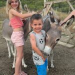 Gourmet Lunch Farm Tour with Cooking Class - Why Travelers Love This Experience