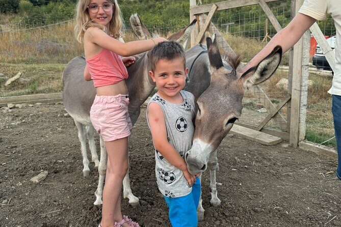 Gourmet Lunch Farm Tour with Cooking Class - Why Travelers Love This Experience