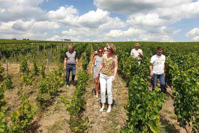 Gourmet walk in the heart of the vineyards with Champagne tasting near Epernay - Why This Tour Offers Great Value